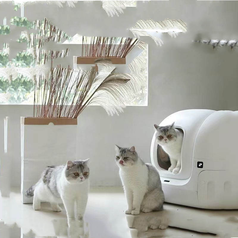 Smart MAX Fully Automatic Cat Litter Box Large Electric Fully Enclosed - Balochistan LLC  Product information: Specifications: cat litter box MAX version Size: 620*538*552mm Material: plastic Scope of application: cats over 6 months old and weighing over 1.5kg Rated voltage: 12VDC Rated power: 24W Overall weight: 9.5kg Packing list: Host*1 Power adapter*1 Garbage bag*1 Sticker*1 Three-proof pad*1 Deodorant Recipe*1