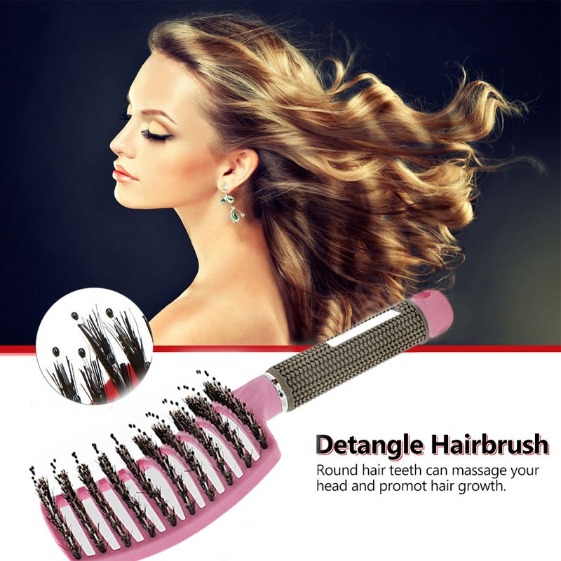 Hairbrush Anti Klit Brushy Haarborstel Women Detangler Hair Brush Bristle Nylon Scalp Massage  Teaser Hair Brush Comb - Balochistan LLC 